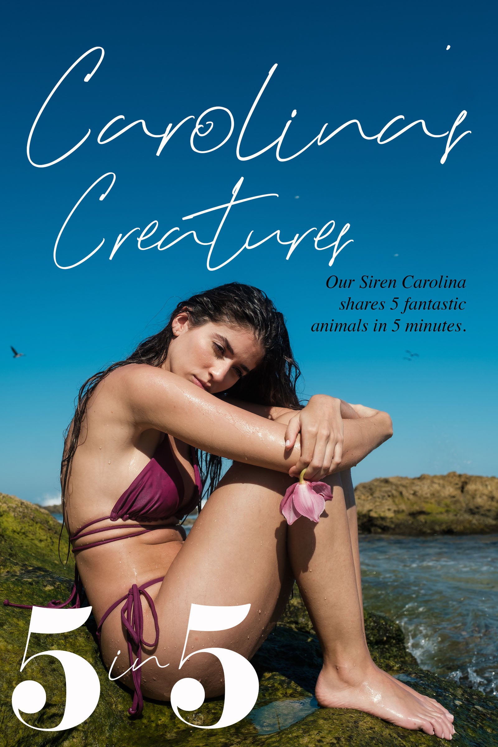 🦄 CAROLINA'S CREATURES