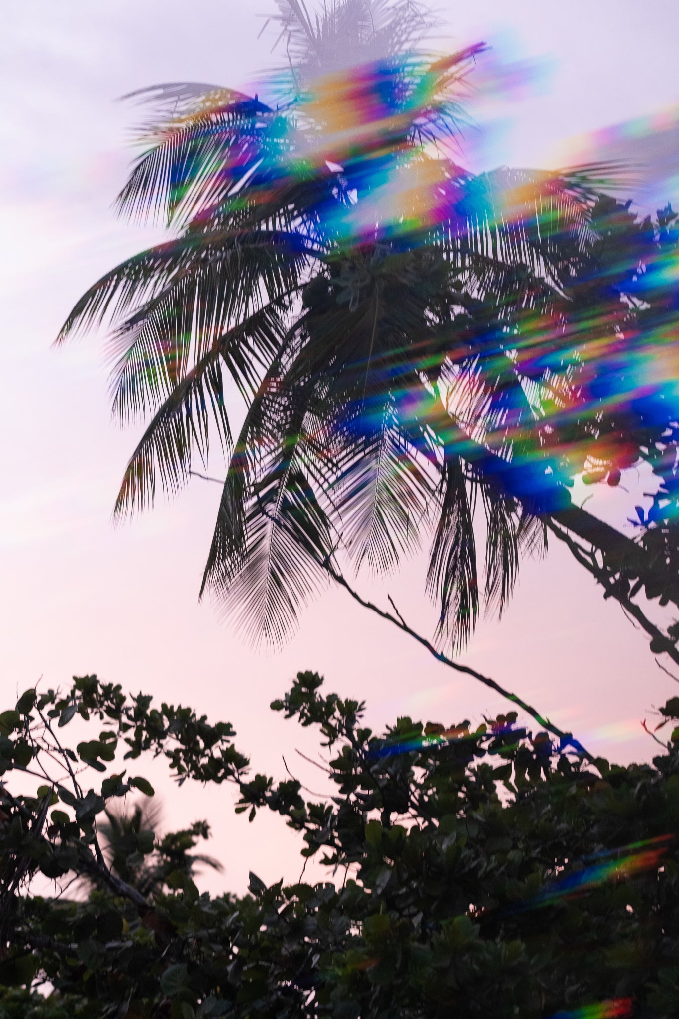 🌈TASTE THE RAINBOW: THE JOY OF WEARING COLOR