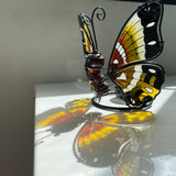 BUTTERFLY CANDLE HOLDER