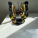 BUTTERFLY CANDLE HOLDER