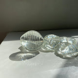 COWRY SHELL PAPERWEIGHT SET