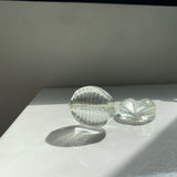 COWRY SHELL PAPERWEIGHT SET