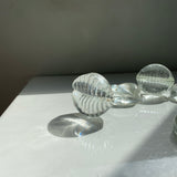 COWRY SHELL PAPERWEIGHT SET