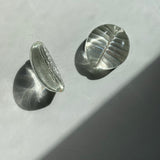 COWRY SHELL PAPERWEIGHT SET