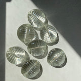COWRY SHELL PAPERWEIGHT SET